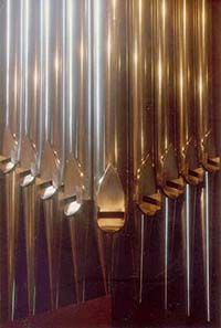 Organ Pipes Photo